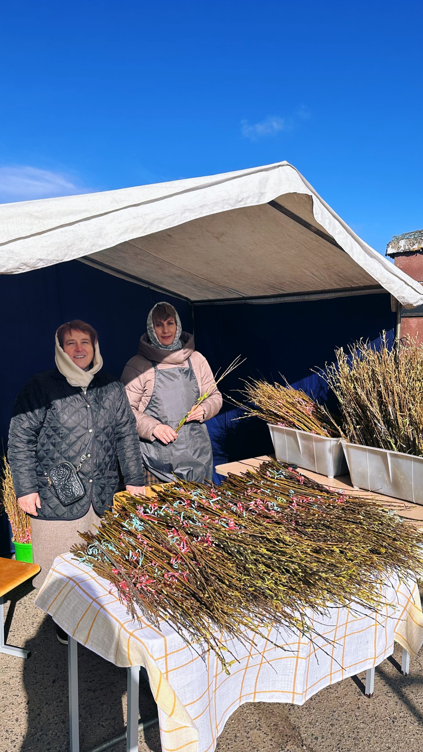 Освящение верб